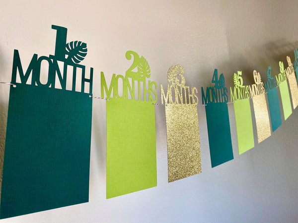 Safari Theme First Birthday, Jungle Theme First Birthday